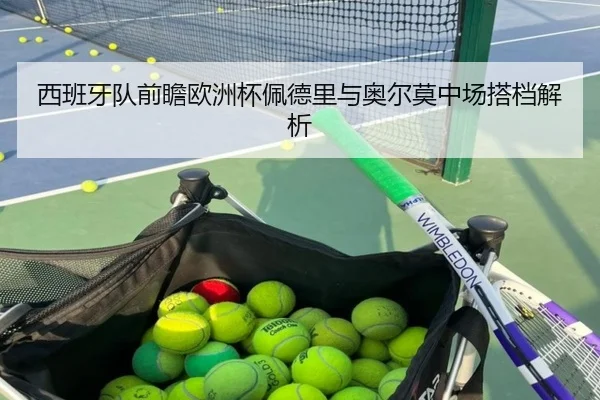 西班牙队前瞻欧洲杯佩德里与奥尔莫中场搭档解析